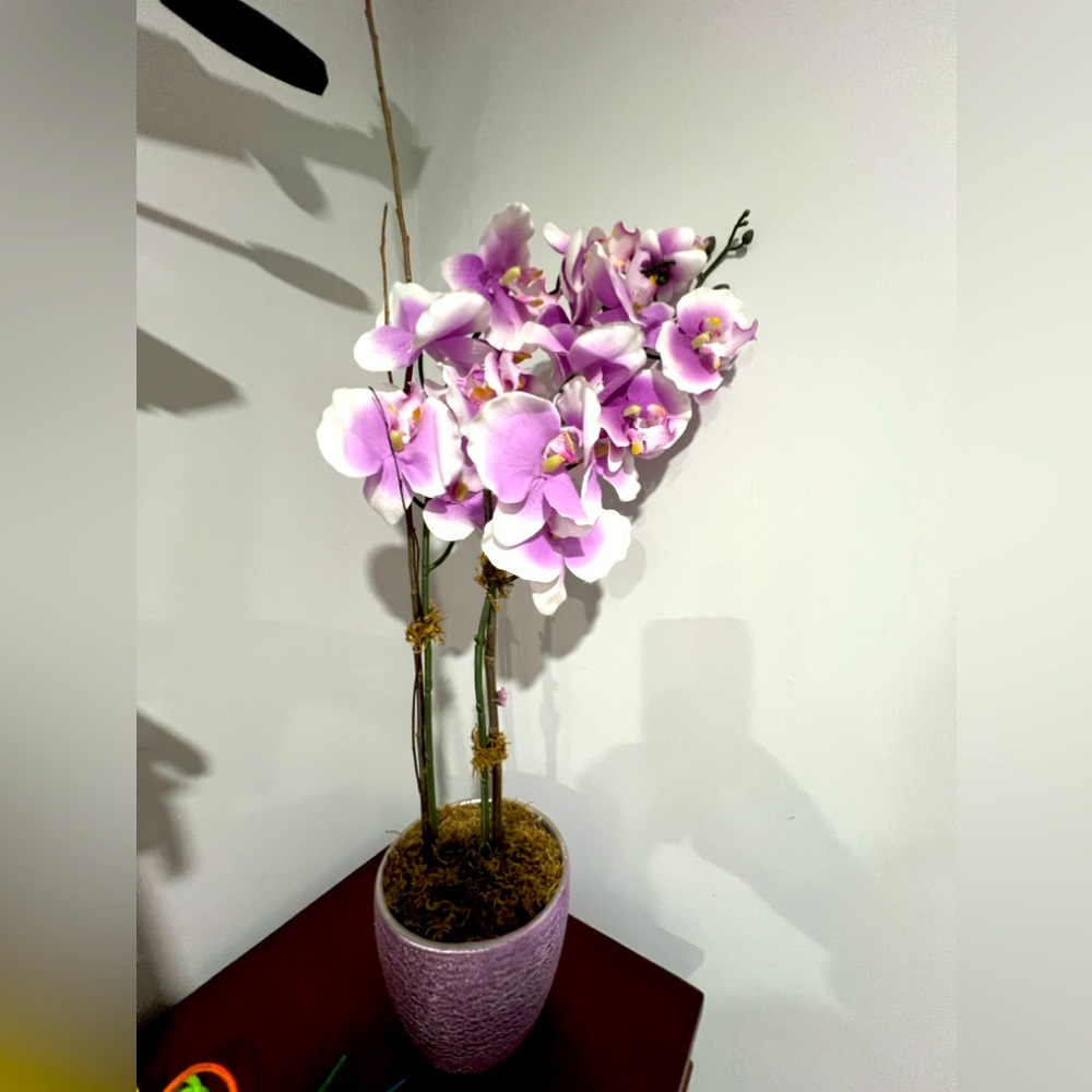 Artificial orchid plant in a shiny vase